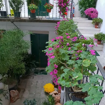 La Casa Di Daniele Affittacamere