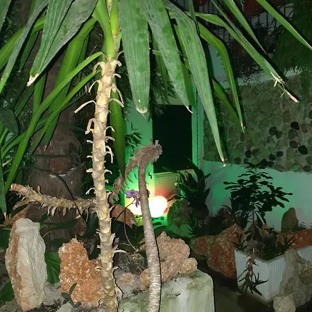 La Casa Di Daniele Affittacamere