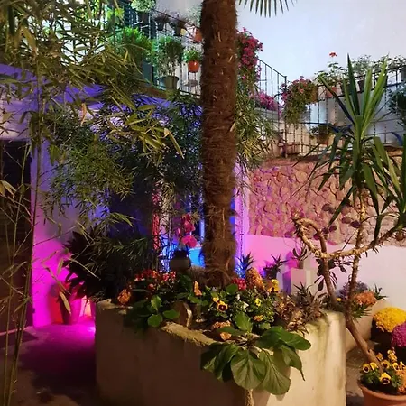 La Casa Di Daniele Affittacamere